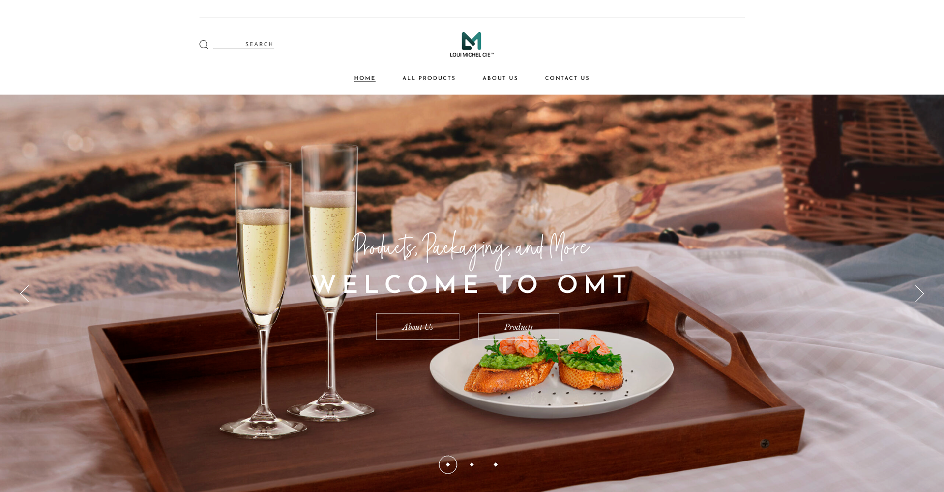 OMT Enterprises — website frame 1